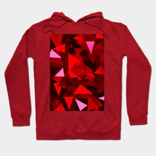 Triangulation Hoodie